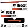 Fits S570 Bobcat Skid Steer Replacement Decals - Dun Decals